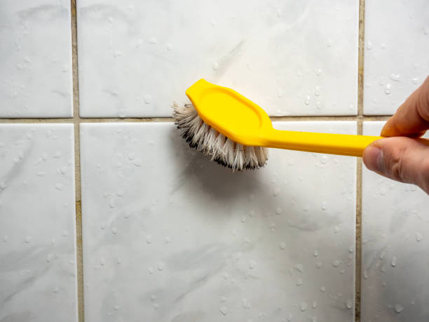 Best Local Mold Removal Service  in Whitefish, MT