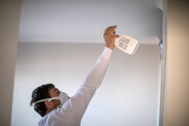 Best Local Mold Removal Service  in Whitefish, MT
